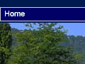 http://www.kronenwiese.ch/